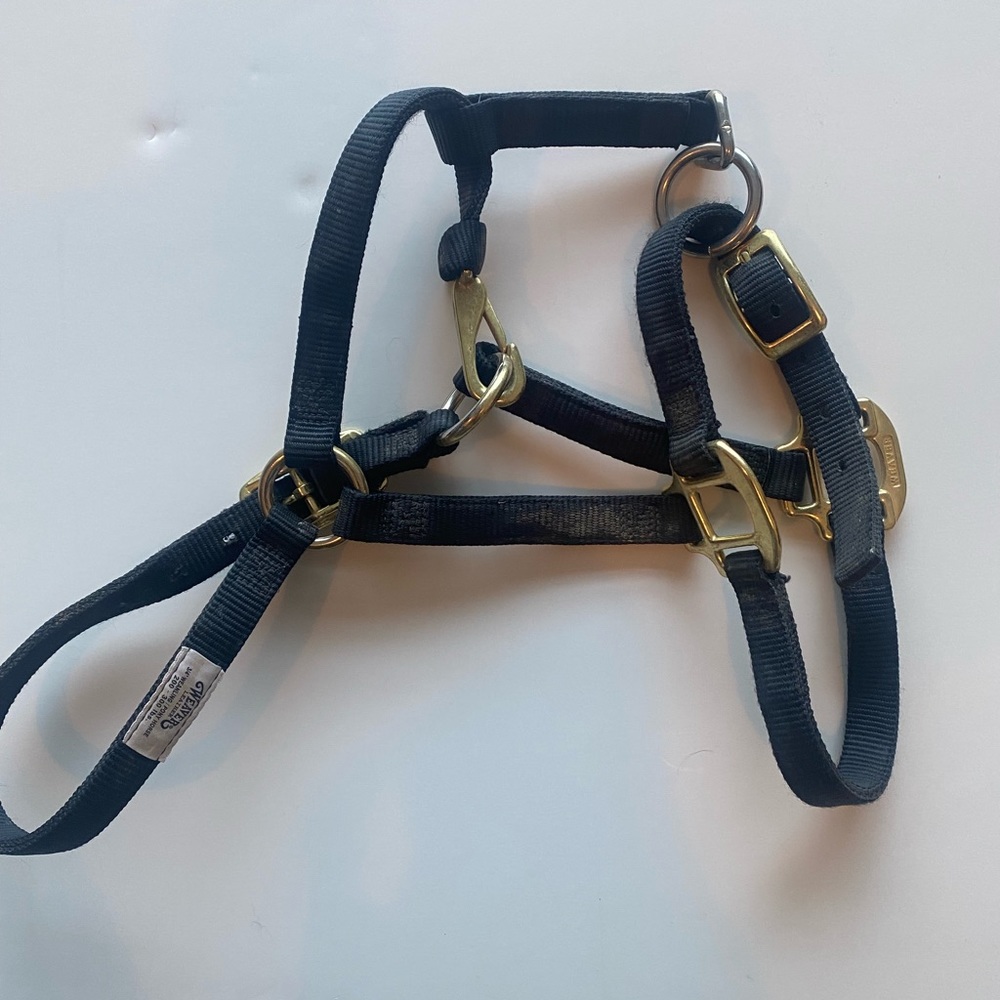 Nylon pony halter